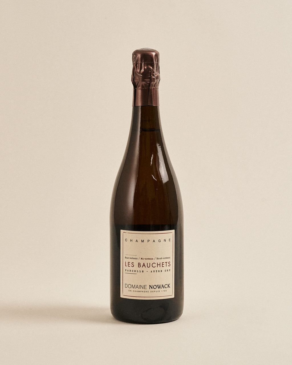 セール中！極希少le nouveau néerlandais sans pein Flavien Nowack 'Les Bauchets' Blanc de Noir Champagne 2018 – Folkways