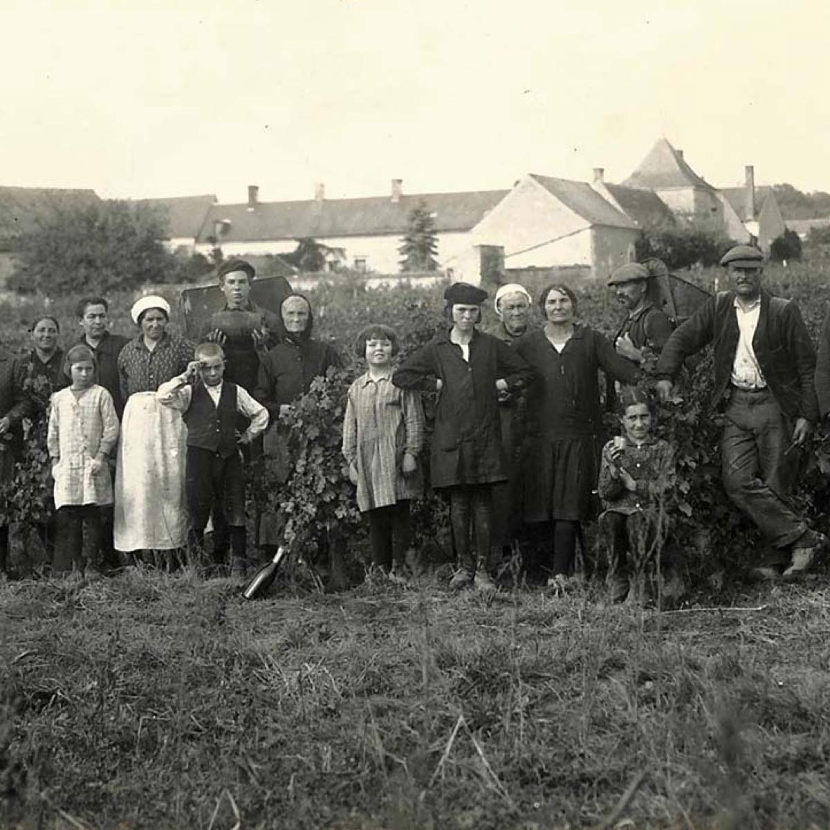 Folk Notes: Domaine de la Chevalerie